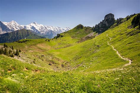 Why Summer in Grindelwald, Switzerland, Belongs on Your Bucket List | GearJunkie