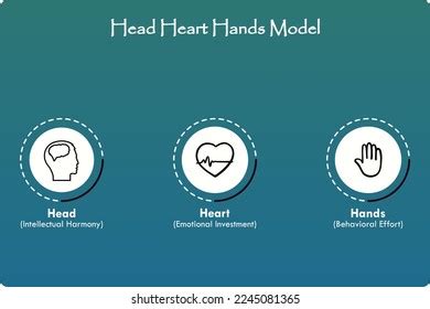 Head Heart Hands Model Icons Infographic Stock Vector (Royalty Free ...