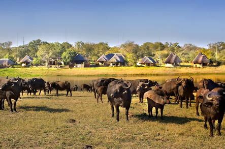 Location of Arathusa Safari Lodge - Sabi Sands South Africa