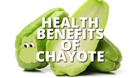 15 Amazing Health Benefits Of Chayote