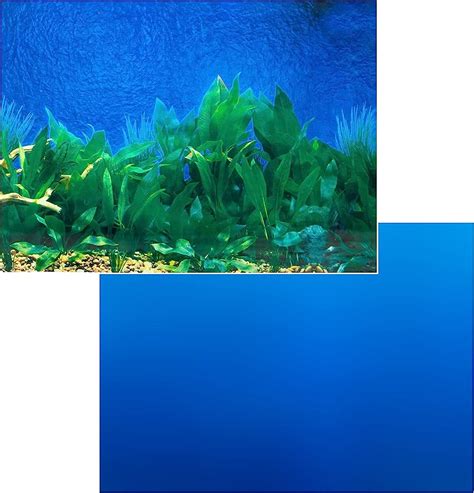 Details 100 blue aquarium background - Abzlocal.mx