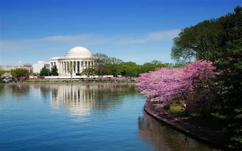 Things To Do In Washington, DC: Monuments, Museums & Attractions