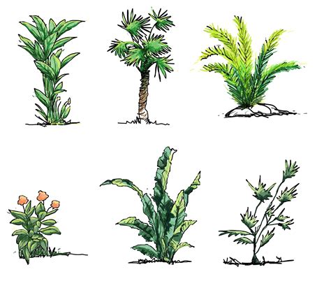 four different types of plants and trees