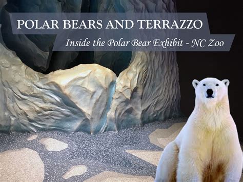 Polar Bears and Terrazzo - Oh My! | Doyle Dickerson Terrazzo