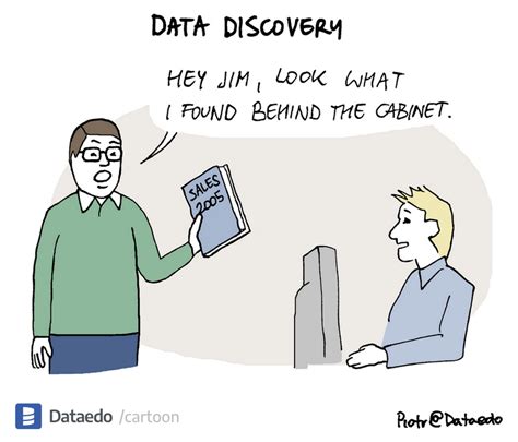 Data Discovery Visualized - Dataedo Data Cartoons