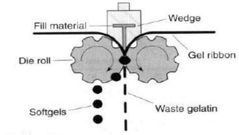 Soft Gelatin Capsules Manufacturing Process: The Complete Guide - SaintyTec