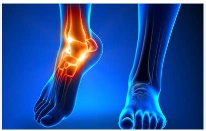 Foot Tendons on Top: Understanding Foot Anatomy and Function | Health And Medical