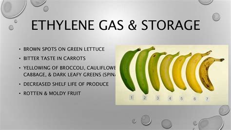 Ethylene Gas Presentation