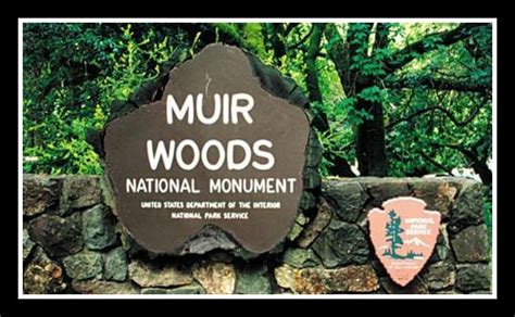 Muir Woods Parking (How to Make a Reservation)