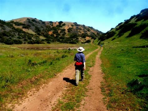 Catalina Island adding nearly 27 more miles of hiking trail | 89.3 KPCC