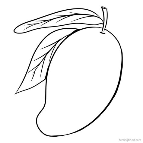 Mango Drawing For Kid | Free download on ClipArtMag