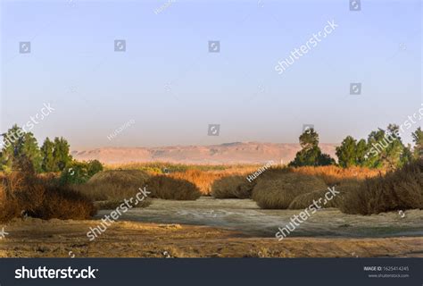 2,944 Desert Kuwait Images, Stock Photos & Vectors | Shutterstock