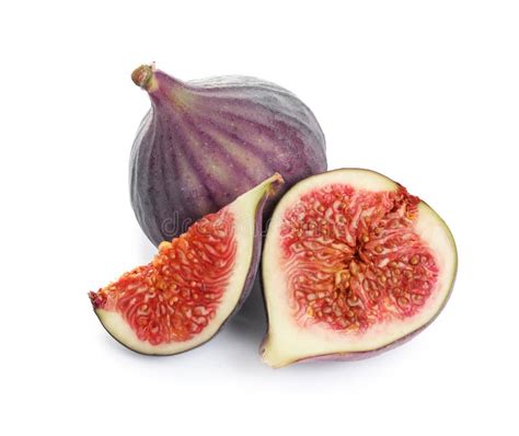 Purple Figs on a Tree stock photo. Image of fruits, trees - 105151972