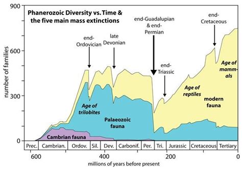 There have been five mass extinctions in Earth’s history. Now we’re ...