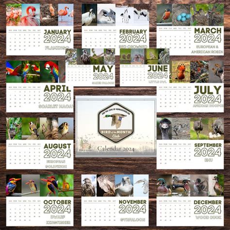 2024 Bird of the Month Wall Calendar | FTL of Homeschooling