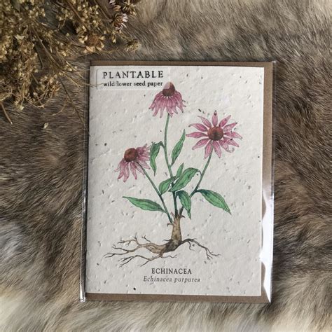 Plantable Wildflower Seed Paper Cards. By The Bower Studio. | RitualCravt