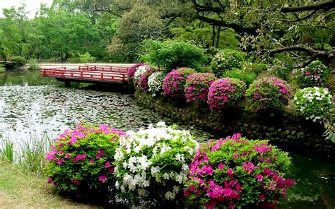 Japanese Gardens Wallpaper - WallpaperSafari