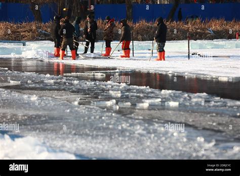 More than a dozen mining icemen work hard to harvest ice cubes in ...