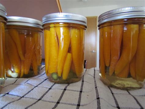 Courageous Canners: Spicy Pickled Carrots - use in place of a classic pickle spear!