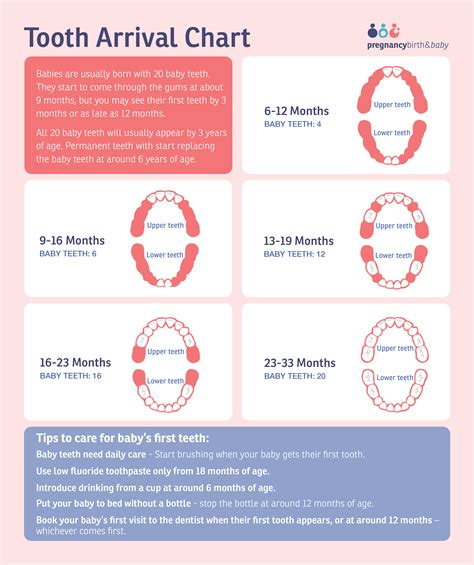 Top 8 when do baby start to teeth 2022