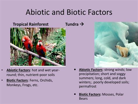 PPT - Ecology and Biomes The study of the interactions of organism with ...