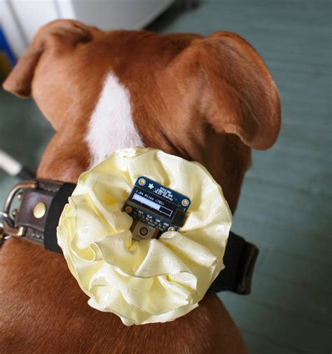 Overview & Parts | GPS Dog Collar | Adafruit Learning System