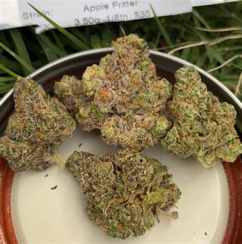 Strain Review: Apple Fritter by Sonoran Roots - The Highest Critic