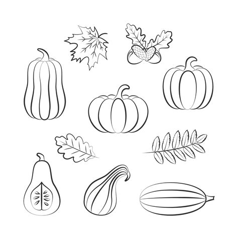 Outline Hand Drawing of Harvest Pumpkins and Leaves 3229872 Vector Art at Vecteezy