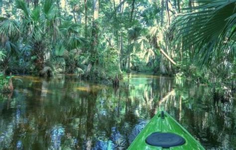 Wekiva Springs State Park - Wekiva River | Paddling.com