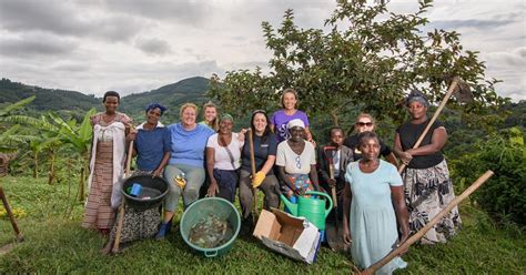 How Farm Africa has transformed lives through Food for Good projects | Analysis & Features | The ...