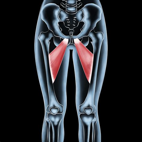 Healing Longus Muscle Injuries - A Comprehensive Approach