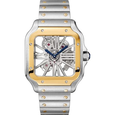 Skeleton Watches for Men and Women - Luxury Watches USA