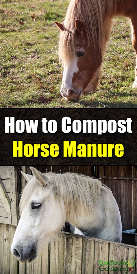 How to Compost Horse Manure - Easy Balcony Gardening