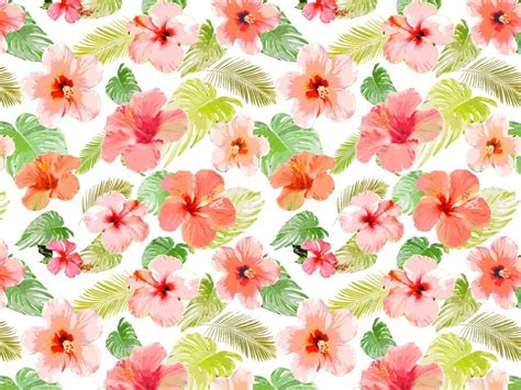 Tropical Flowers Wallpapers - Wallpaper Cave