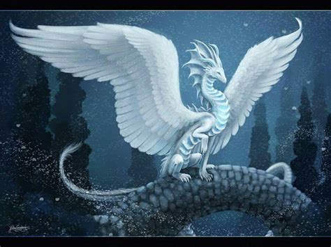 Pin on dragon | Dragon artwork, Feathered dragon, Dragon pictures