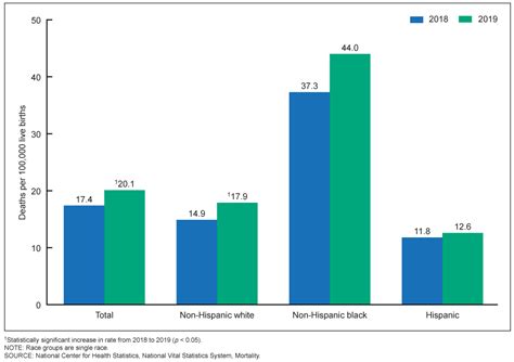 Products - Health E Stats - Maternal Mortality Rates in the United States, 2019