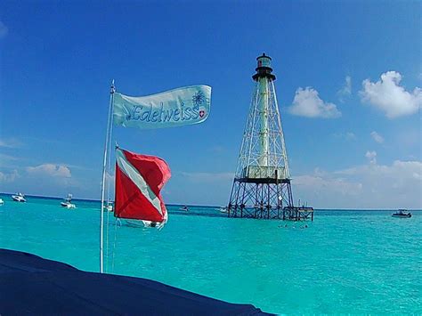 Book a Snorkeling Tour in Alligator Reef, Florida Keys - Edelweiss