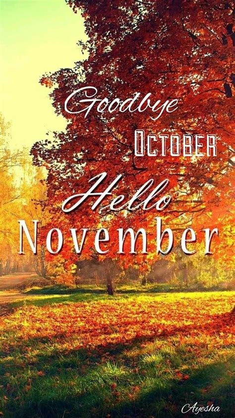 Hello November Wallpapers - Top Free Hello November Backgrounds ...