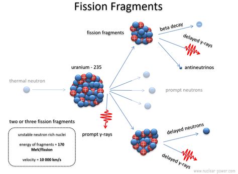 Fission Fragments and Products | Definition & Interactions | nuclear ...