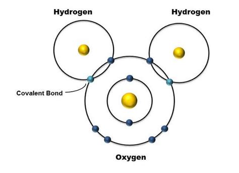 Chemical Bonds, Reactions and Vital Inorganic Compounds