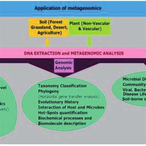 A brief account of applications of metagenomics in different fields ...