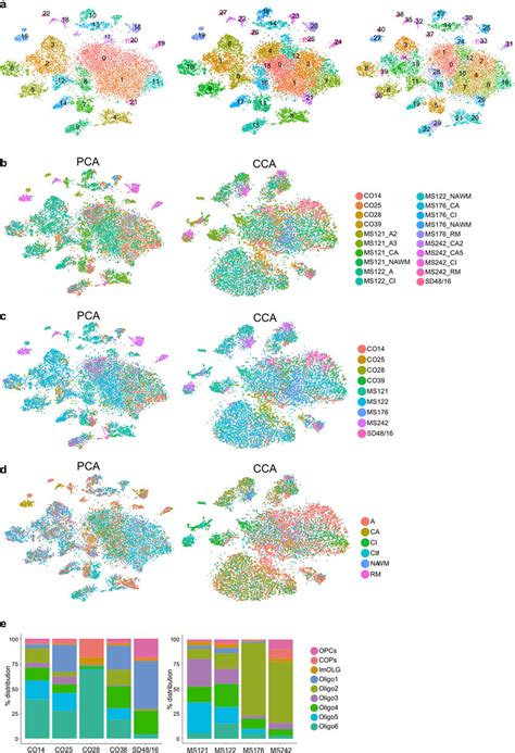 Clustering of snRNA-seq dataset by different origins a, t-SNE... | Download Scientific Diagram