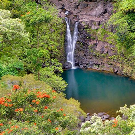 Best Waterfalls on Maui | Trip to maui, Maui vacation, Maui travel