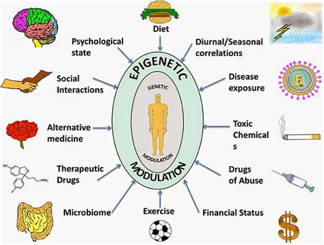 Is Behavior Based Upon Genetics or Environment?