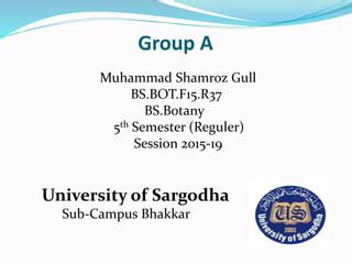 General Account of Chlorophyta & Charophyta | PPT