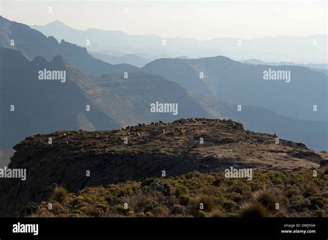 Maloti hi-res stock photography and images - Alamy