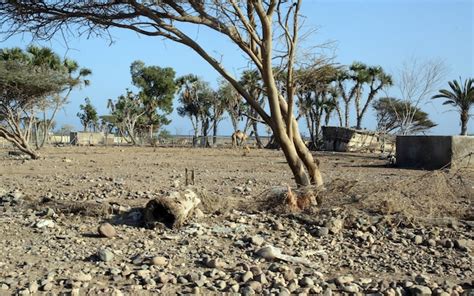 Shortages of food, water and electricity: how Djibouti has been ...