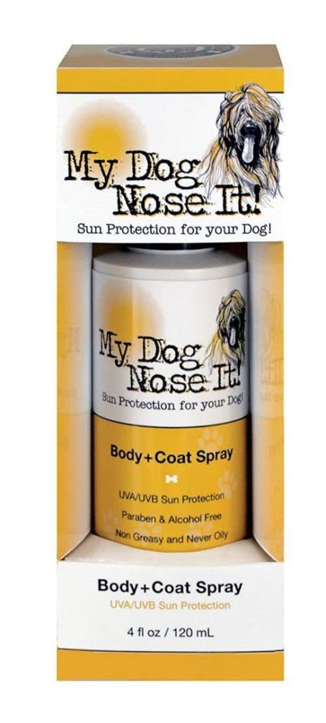 The 25 Best Dog Sunscreens of 2020 - Pet Life Today