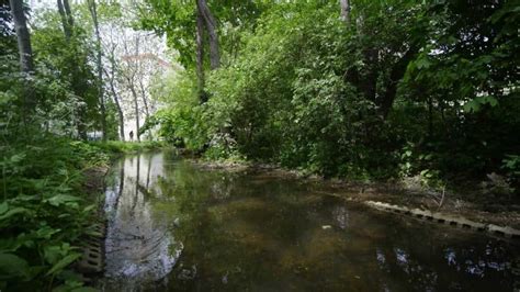 Die Gera in Erfurt- ein Fluss mit vielen Namen - Ich liebe Erfurt!