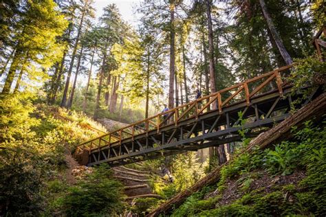 Big Sur CA trail Pfeiffer Falls reopens after repairs | San Luis Obispo Tribune